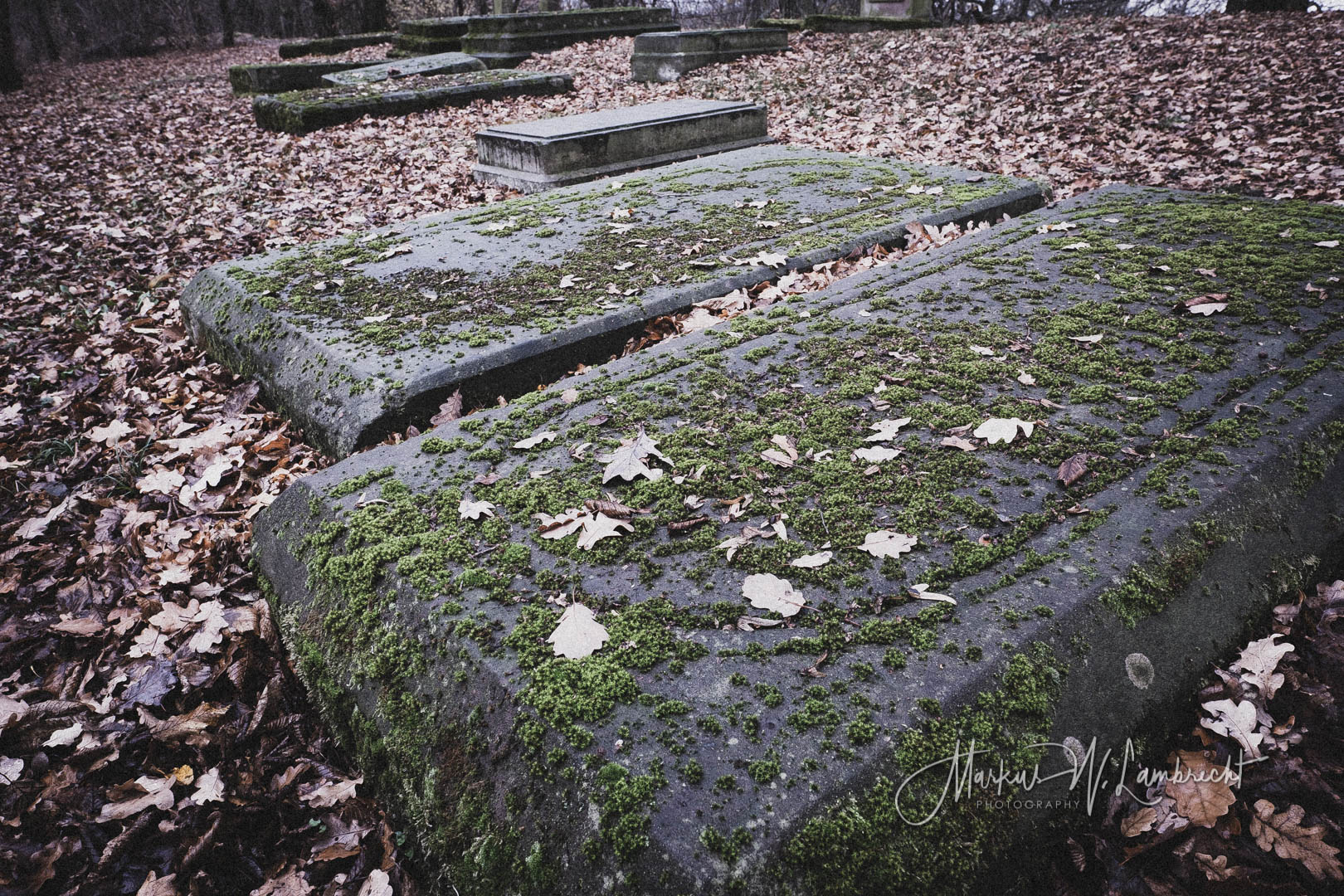 Bovenden, Jüdischer Friedhof